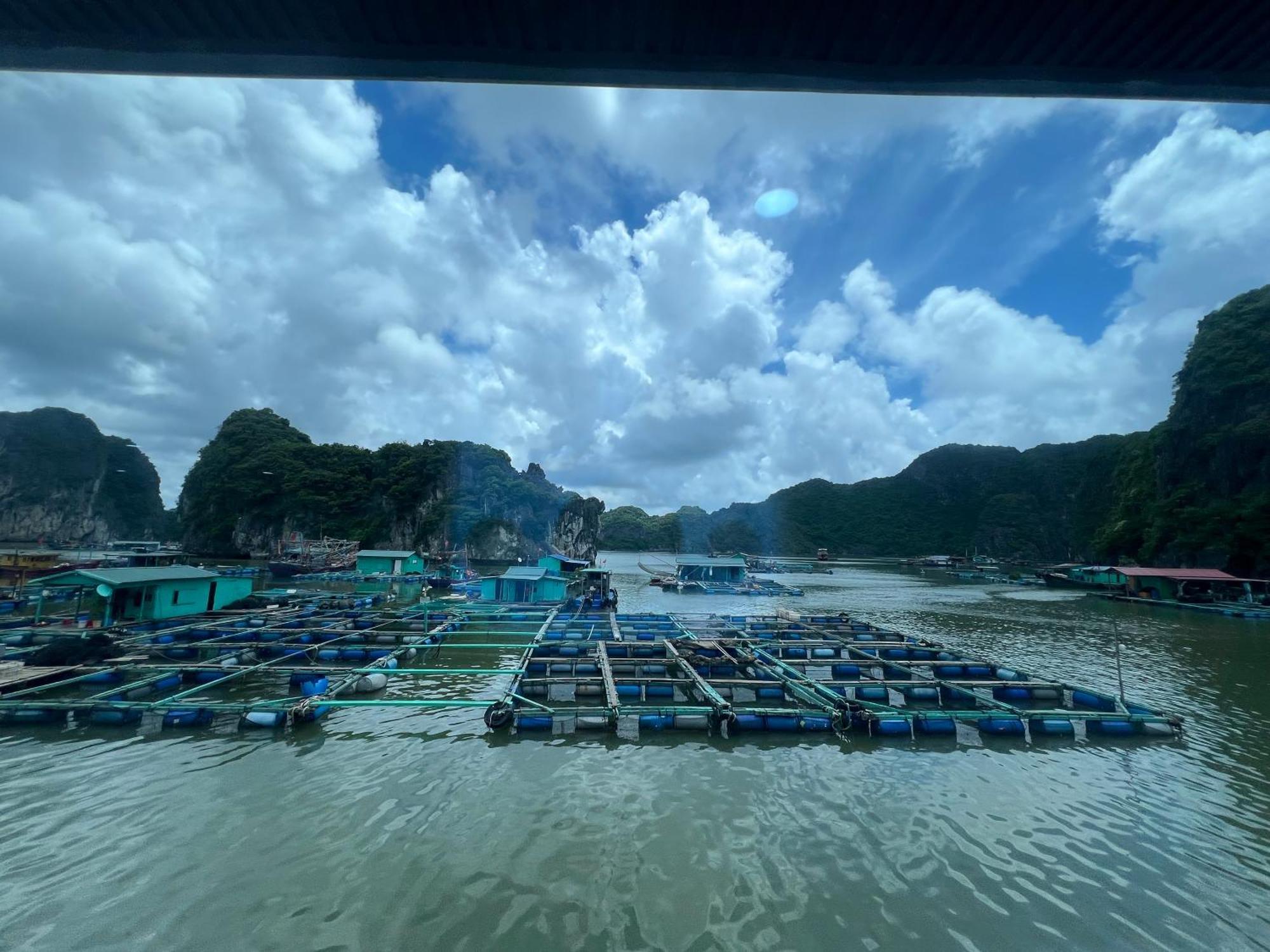 Mb Central Hotel Cat Ba Island Buitenkant foto