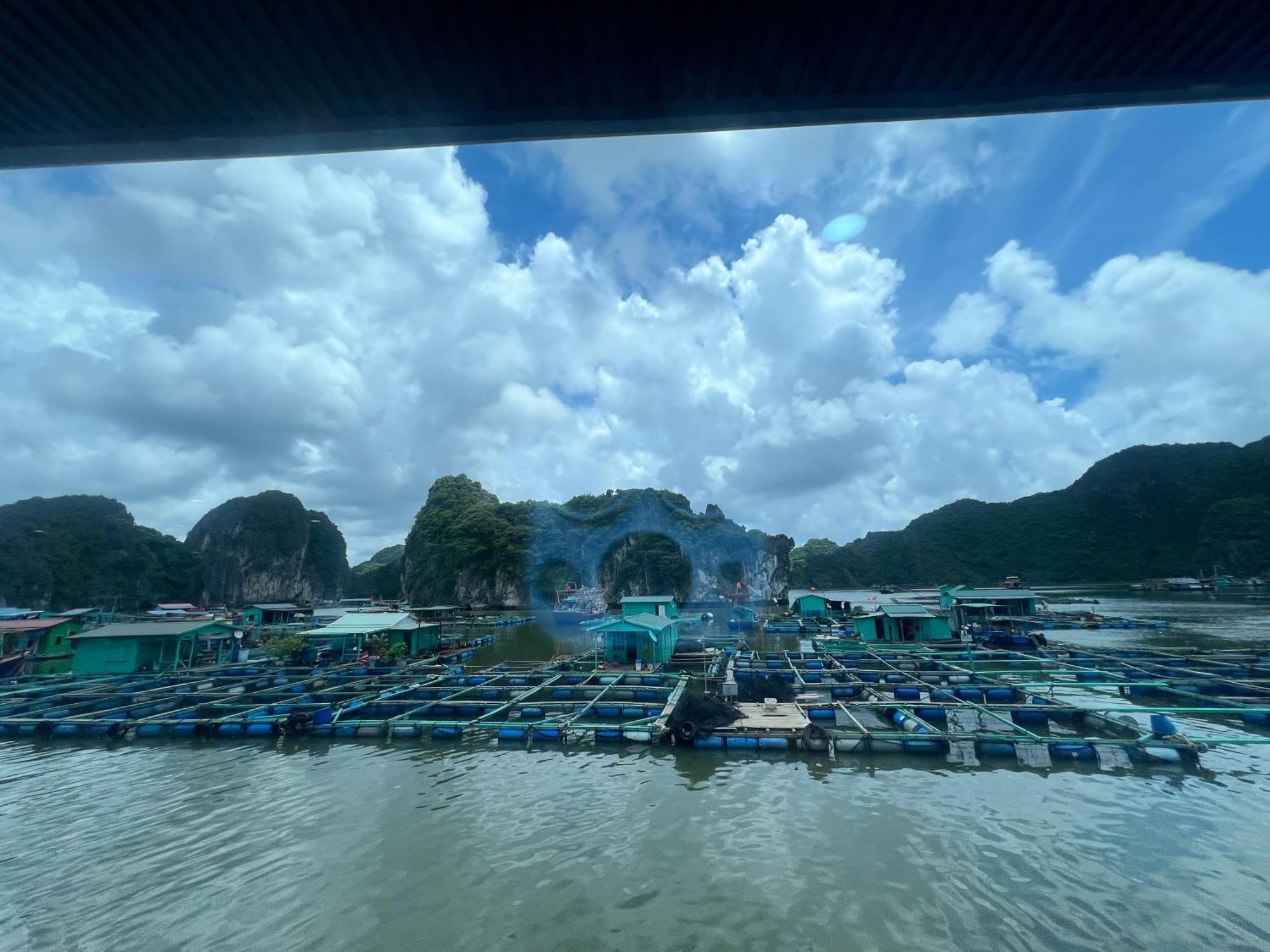 Mb Central Hotel Cat Ba Island Buitenkant foto